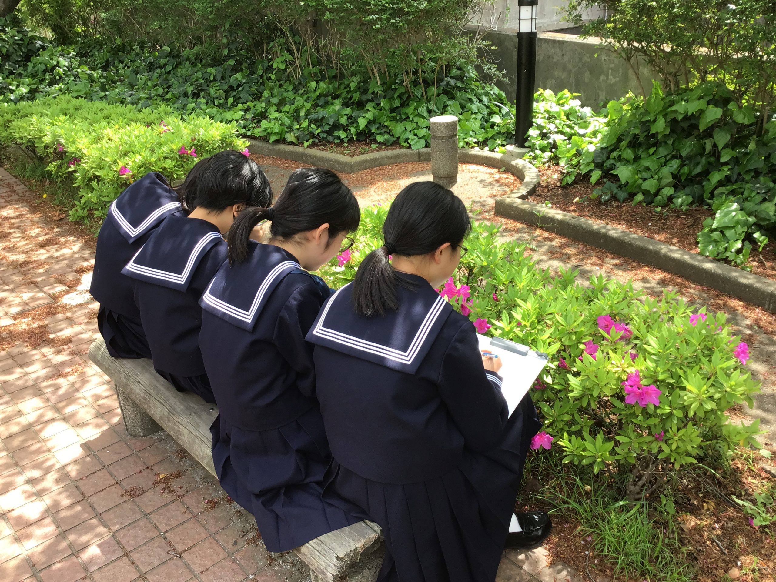 アイキャッチ画像